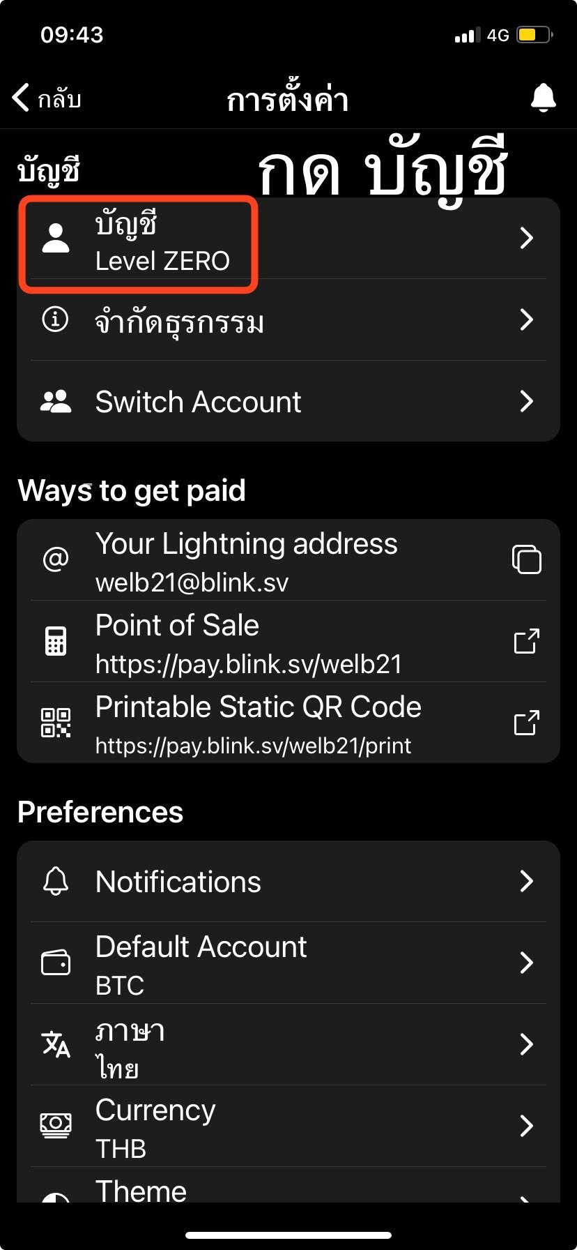หน้าตั้งค่าแสดง Lightning address, POS URL และ printable QR URL
